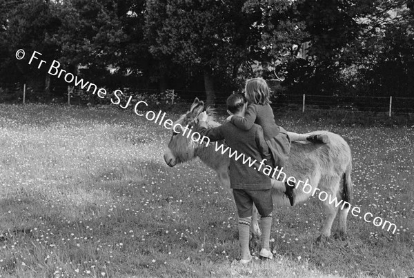 LINDEN NURSING HOME CHILDREN PLAYING WITH DONKEY